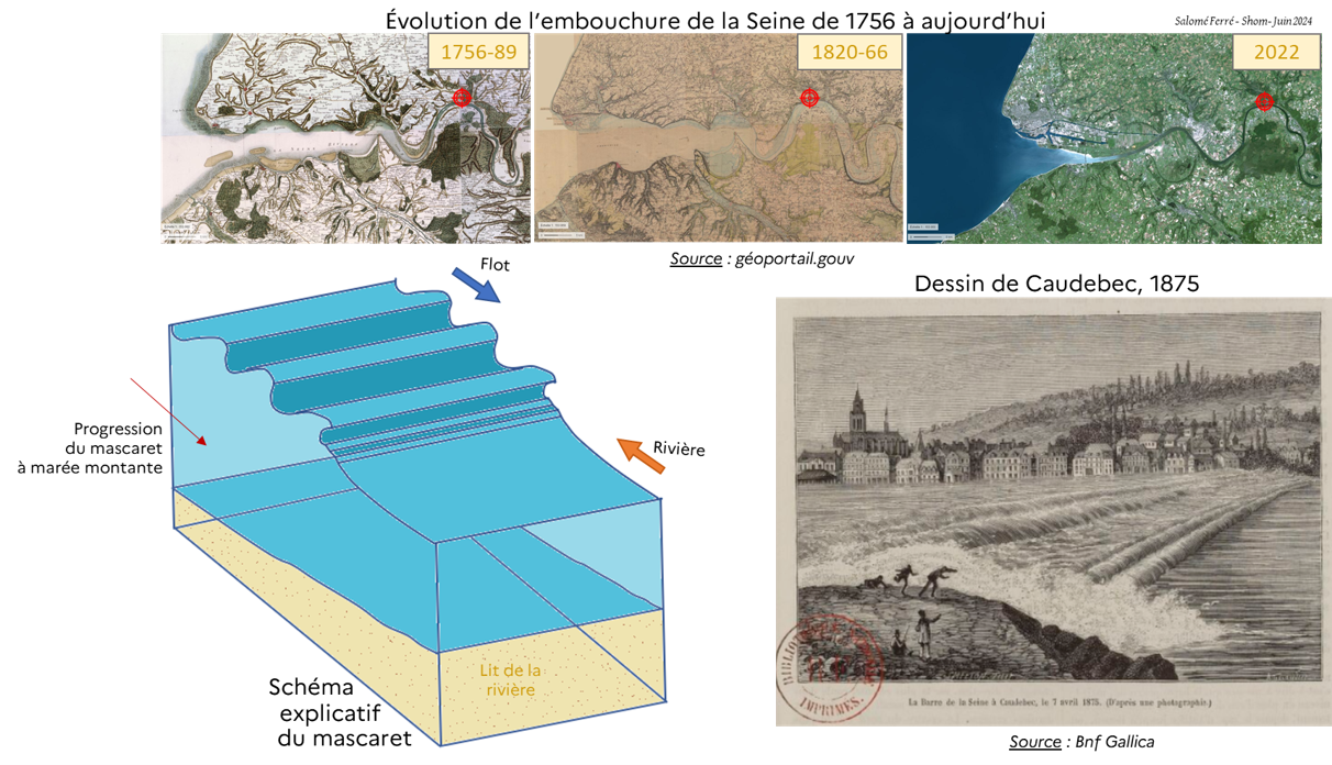 LH_evolution_seine
