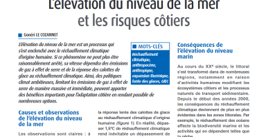 Extrait article Le Cozannet ; revue XYZ n°177
