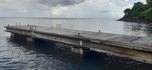 Ponton du Precheur