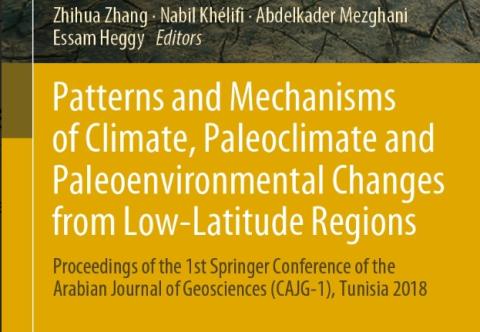 Patterns and Mechanisms of Climate, Paleoclimate and Paleoenvironmental Changes from Low-Latitude Regions