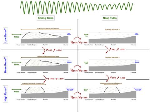 Graphical abstract
