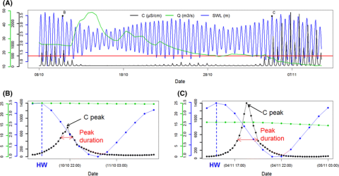 a Time series of electrical conductivity (black), river discharge (green) and sea water level (blue) for the year 2010; b and c two examples of peak of electrical conductivity (units identical to a). The conditions at high water (HW) are marked by a vertical dashed line. The duration of a critical peak (exceeding 500 µS/cm) is marked in red