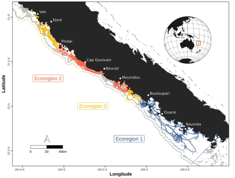 Figure 1 Interpolated dugong GPS tracks recorded in 2012, 2013 and 2019 over the west coast of New Caledonia, South Pacific. The 16 tracks are split in different colors depending on the ecoregion they are in. Ecoregions identified through hierarchical clustering of environmental lagoon characteristics are represented with colored polygons. Ecoregion 3 is divided into two separate parts, one to the north of ecoregion 2 and another in between ecoregion 1 and 2. Land is shown in black and shallow reefs are sh