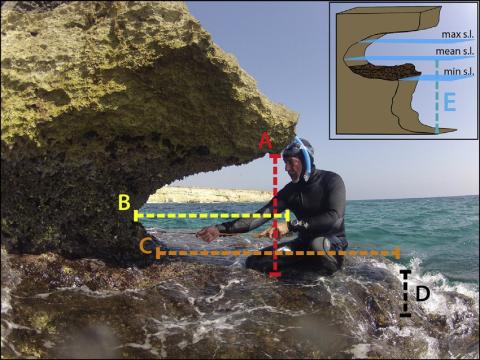 Morphometric measures: A) Average notch width, B) Notch depth, C) Bottom depth (reef when present), D) reef and step (if present) thickness, E) Depth of cliff toe at mean sea level.
