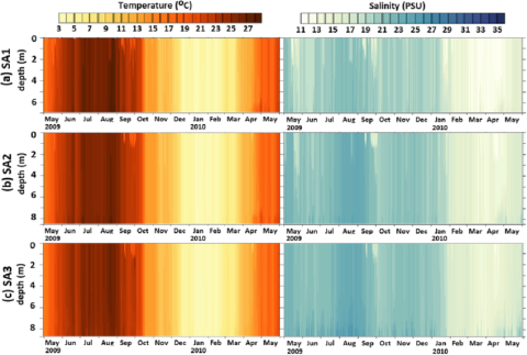 Modeled (a) water temperature and (b) salinity profile evolution at three stations SA1, SA2 and SA3 (Delpy et al., 2012; their Table 1 and Fig. 1) during the period from May 1, 2009 to May 31, 2010.