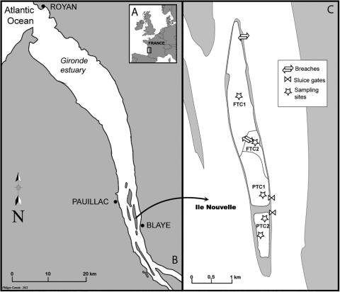 Figure 1, Carassou & al 2025