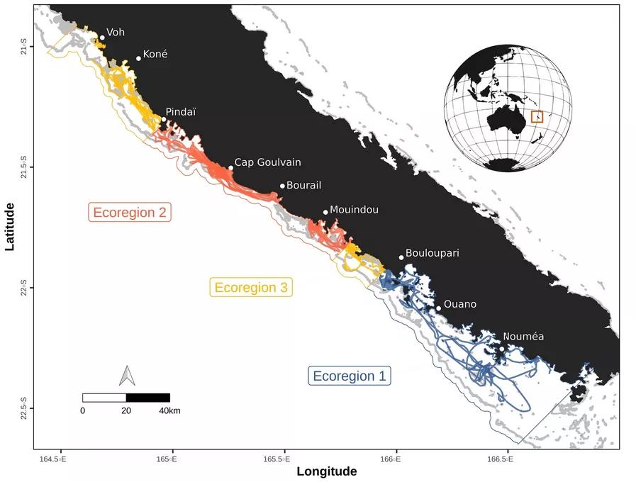 Figure 1  Interpolated dugong GPS tracks recorded in 2012, 2013 and 2019 over the west coast of New Caledonia, South Pacific. The 16 tracks are split in different colors depending on the ecoregion they are in. Ecoregions identified through hierarchical clustering of environmental lagoon characteristics are represented with colored polygons. Ecoregion 3 is divided into two separate parts, one to the north of ecoregion 2 and another in between ecoregion 1 and 2. Land is shown in black and shallow reefs are sh