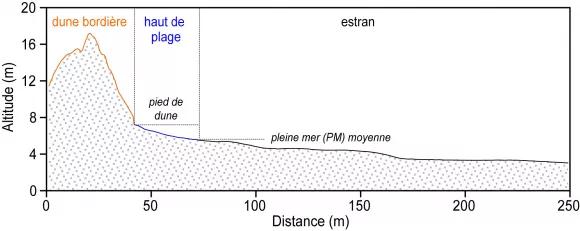 Illustration des limites utilisées pour le calcul des variations de volumes sédimentaires de la dune, du haut de plage et de l’estran