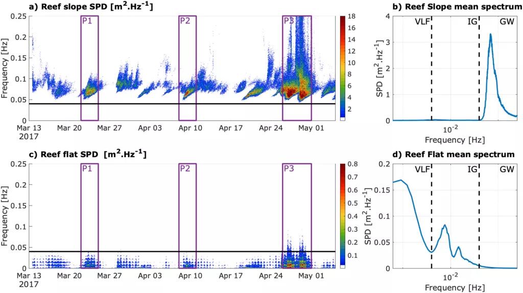 Wave energy spectrum: Temporal evolution at the reef slope (RS) station (a) and at the reef flat (RF) station (c), Total mean wave spectrum over the 53-day of experiment at RS station (b) and at the RF station (d). The black lines represent the frequency bands boundaries (0.04 Hz for IG/GW bands and 0.004 Hz for VLF/IG bands) Periods P1, P2 and P3, corresponding to the wave events of interest, are highlighted by the purple boxes.